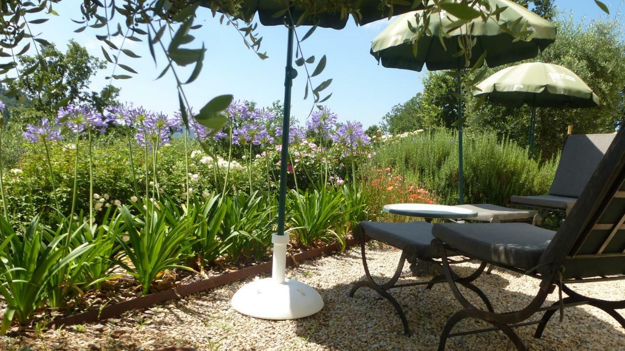 Le Vallon Des Oliviers Montauroux Luaran gambar