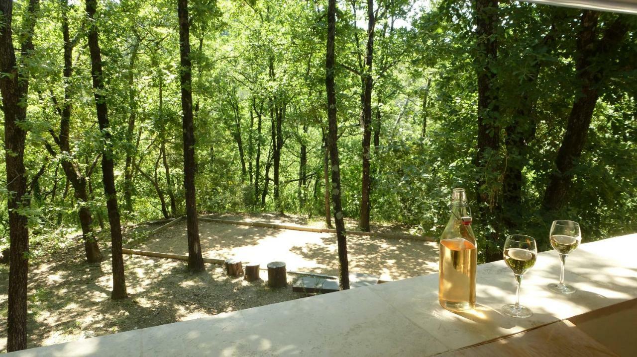 Le Vallon Des Oliviers Montauroux Luaran gambar