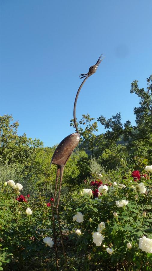 Le Vallon Des Oliviers Montauroux Luaran gambar