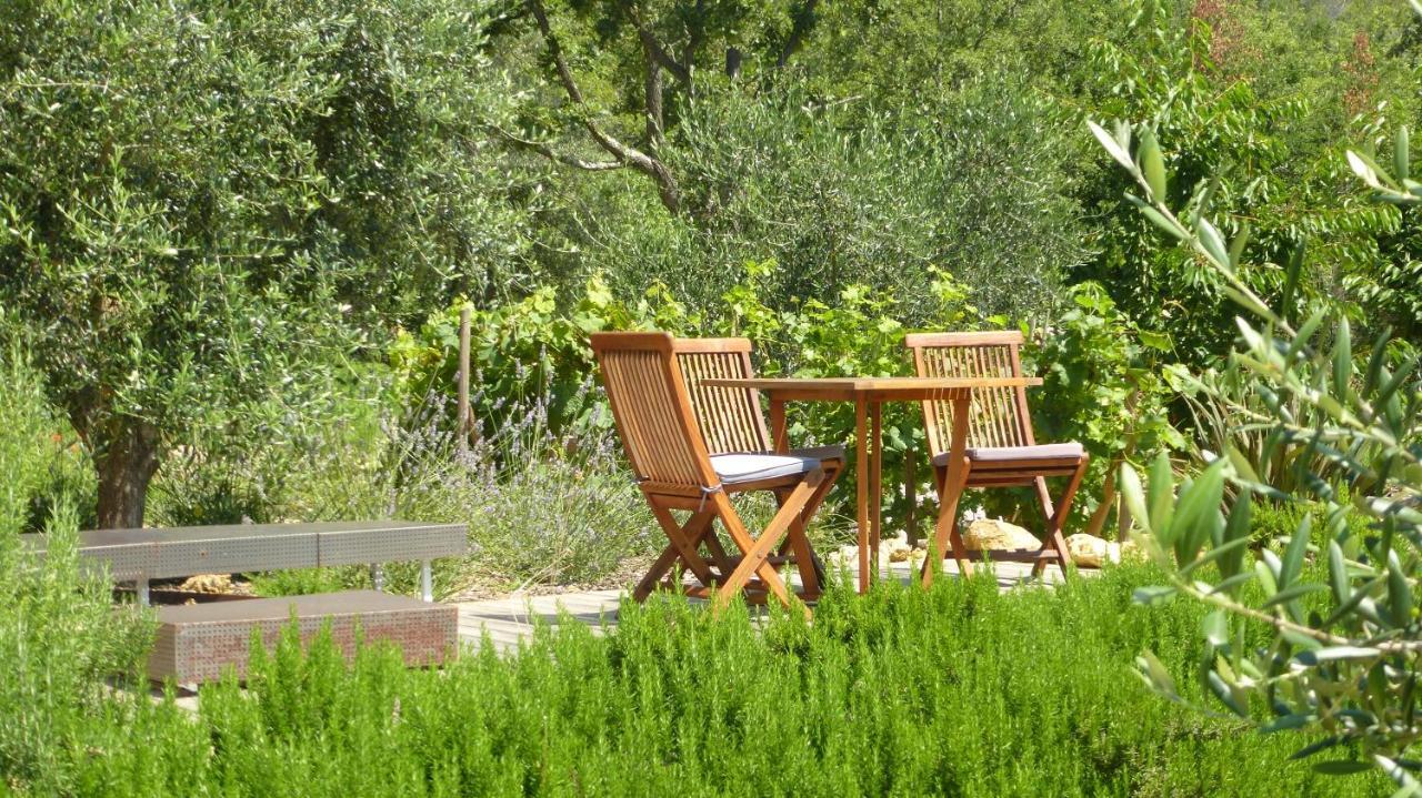 Le Vallon Des Oliviers Montauroux Luaran gambar
