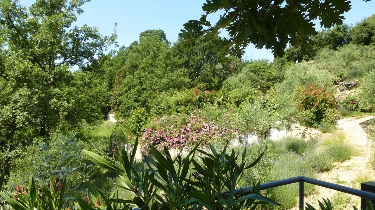 Le Vallon Des Oliviers Montauroux Luaran gambar